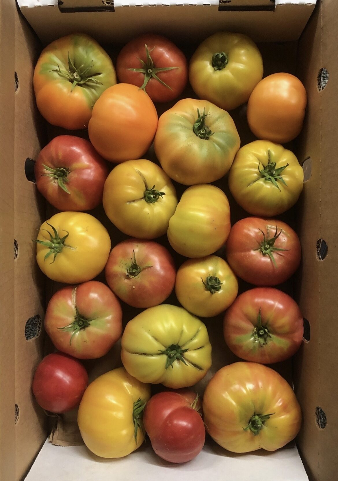 Heirloom Tomatoes East Bay/Peninsula Mariquita Farm