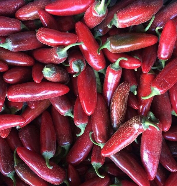 Red Jalapeños