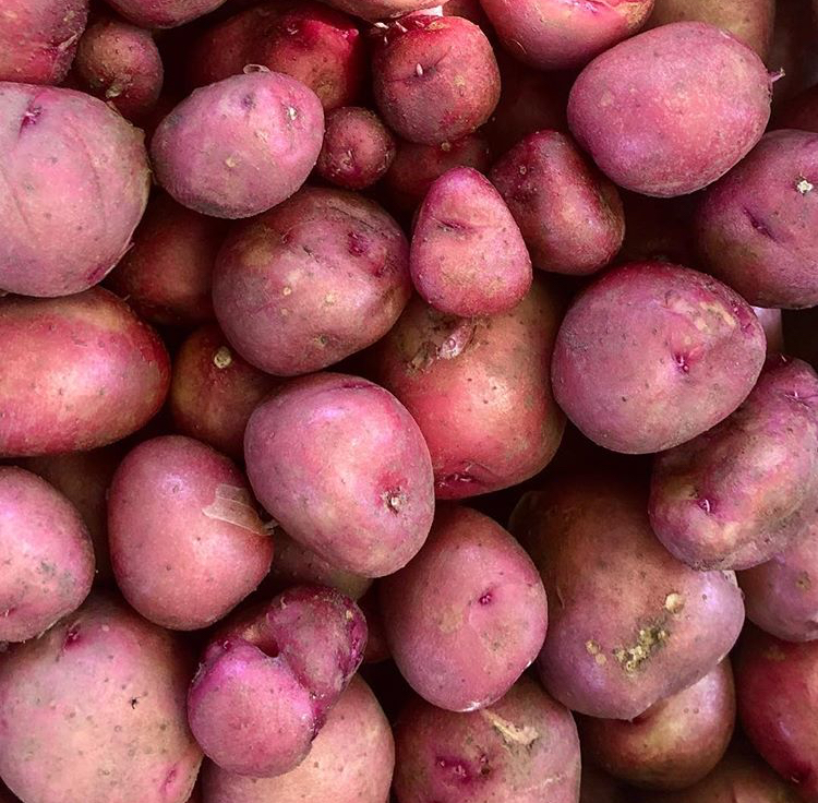 Red Potatoes (5LB)