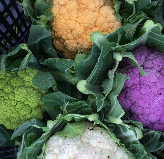 The Colors of Cauliflower Mariquita Farm