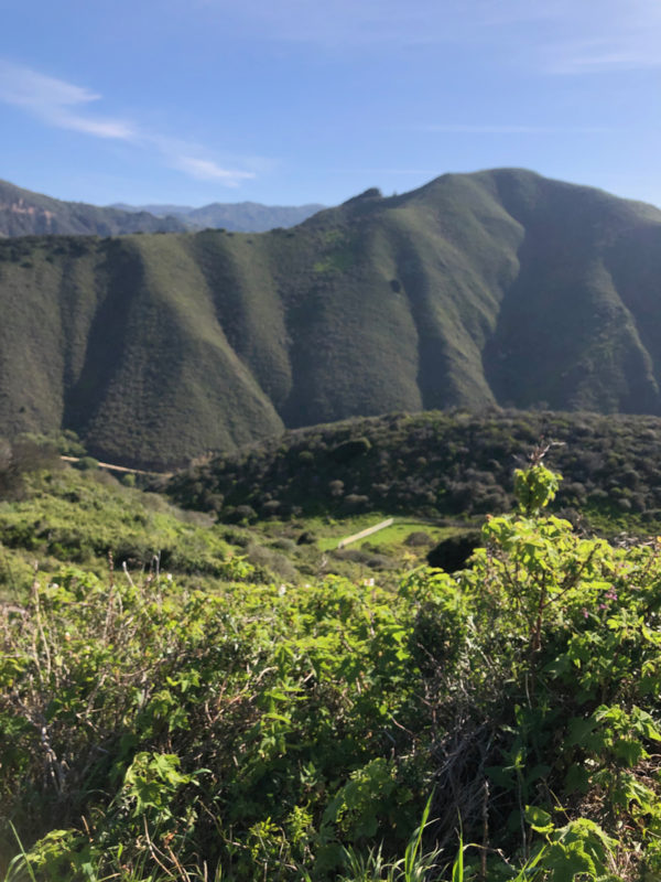 Santa Lucia Mountains