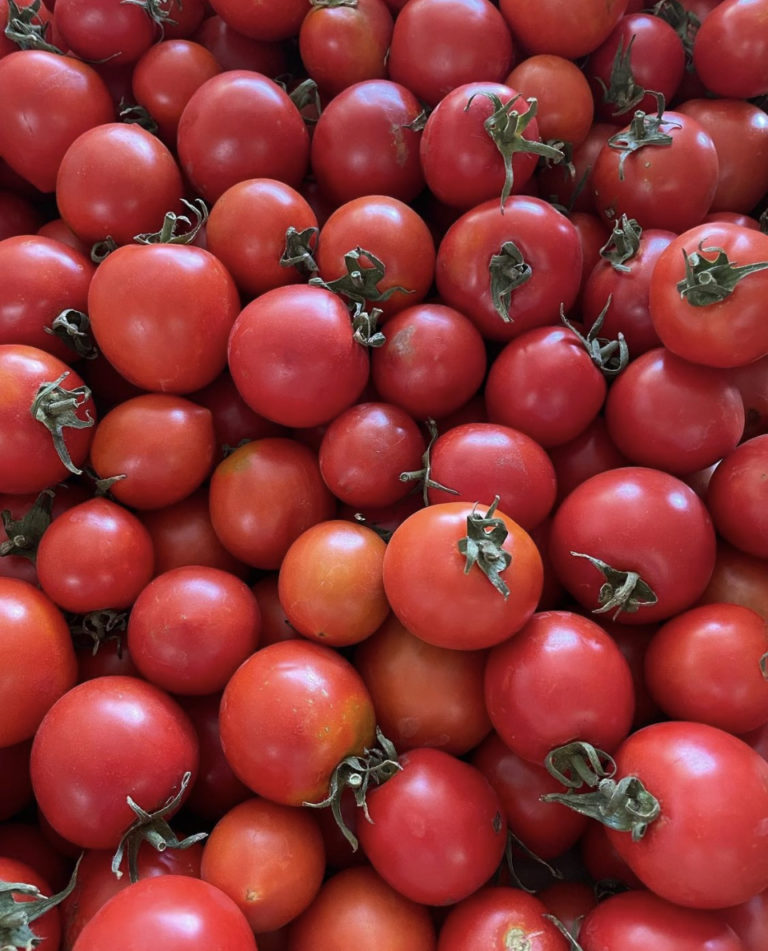 Dry Farmed Early Girl Tomatoes (12 lb box) Small Mariquita Farm