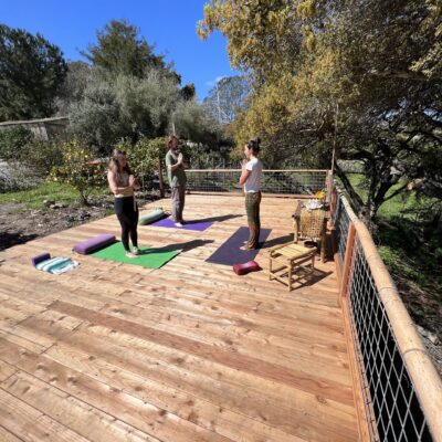 Yogadeck2