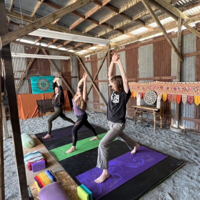 Yogashed